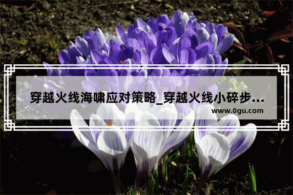 穿越火线海啸应对策略_穿越火线小碎步有什么好处