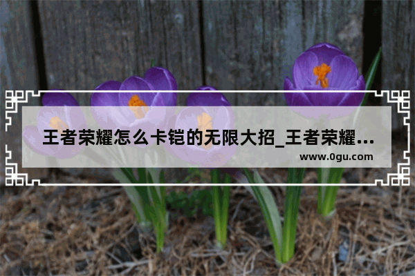 王者荣耀怎么卡铠的无限大招_王者荣耀如何卡铠的青龙