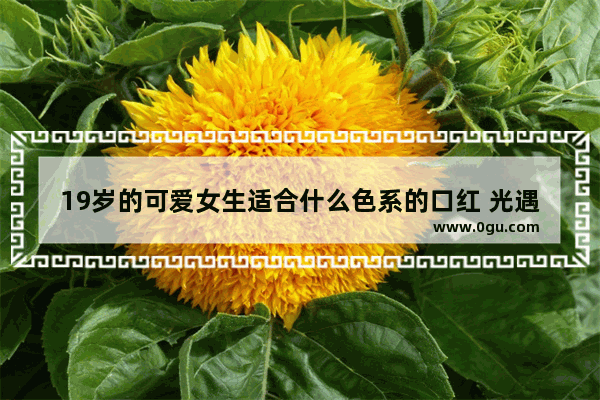 19岁的可爱女生适合什么色系的口红 光遇荧光小菇凉