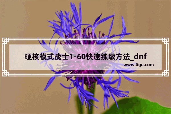 硬核模式战士1-60快速练级方法_dnf团本任务怎么开