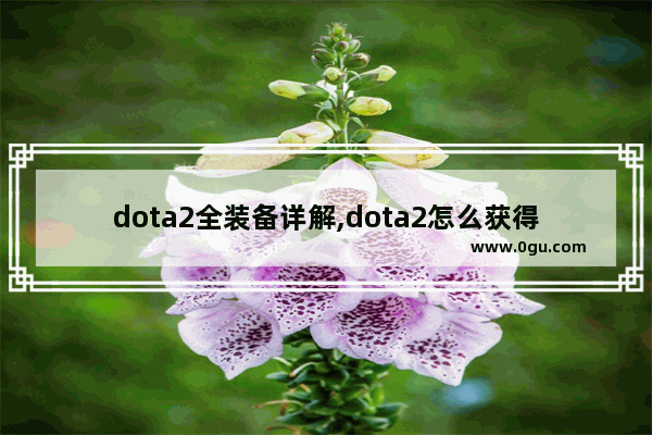 dota2全装备详解,dota2怎么获得装备