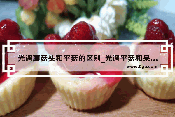 光遇蘑菇头和平菇的区别_光遇平菇和呆菇有什么区别