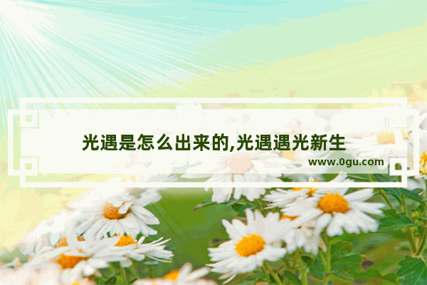 光遇是怎么出来的,光遇遇光新生