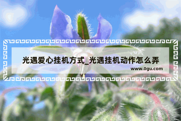 光遇爱心挂机方式_光遇挂机动作怎么弄
