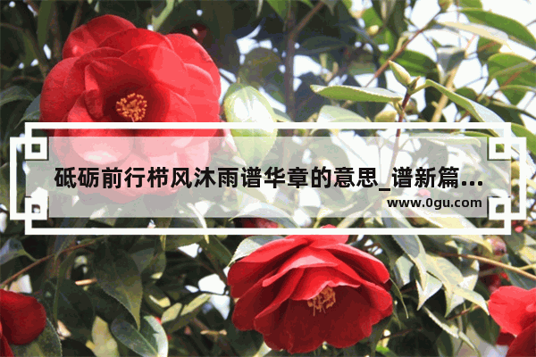 砥砺前行栉风沐雨谱华章的意思_谱新篇是什么意思