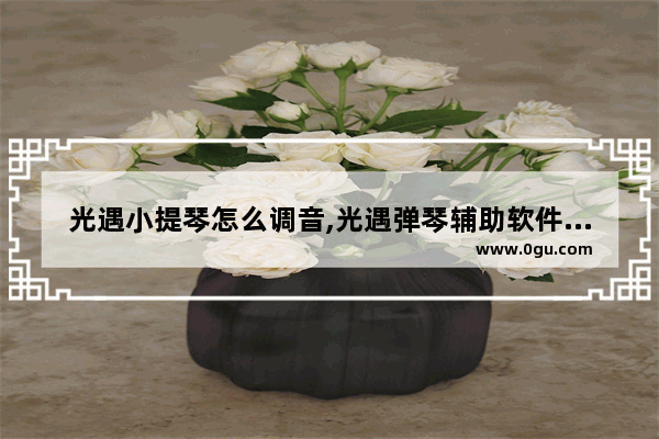 光遇小提琴怎么调音,光遇弹琴辅助软件光遇