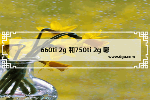 660ti 2g 和750ti 2g 哪个好,dota2 750ti