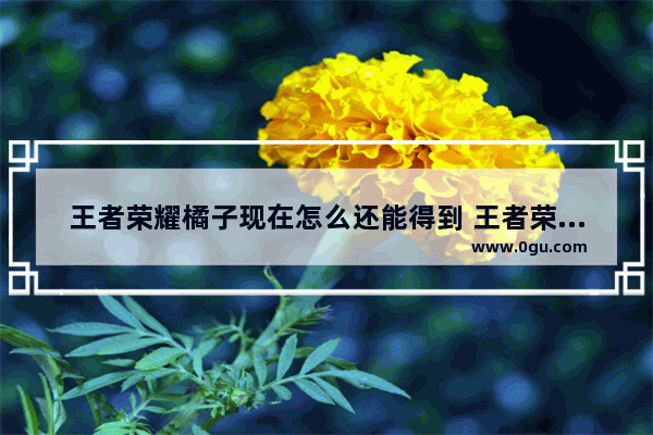 王者荣耀橘子现在怎么还能得到 王者荣耀橙子