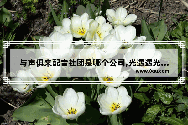与声俱来配音社团是哪个公司,光遇遇光中文配音社团