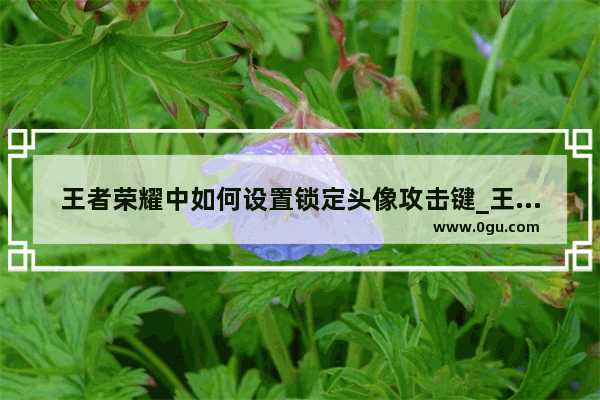 王者荣耀中如何设置锁定头像攻击键_王者荣耀怎么锁定一个人打
