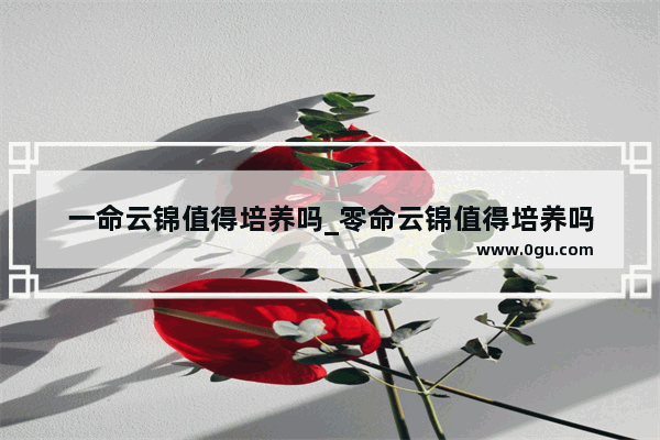 一命云锦值得培养吗_零命云锦值得培养吗