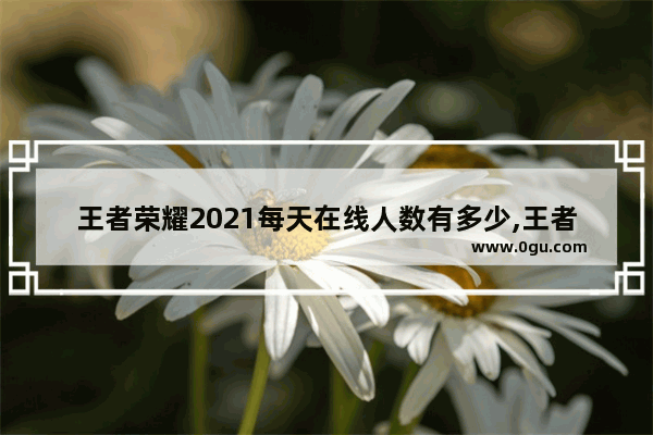 王者荣耀2021每天在线人数有多少,王者荣耀最高在线人数