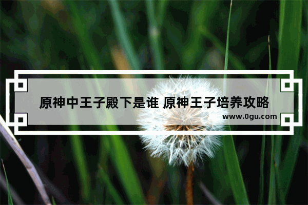 原神中王子殿下是谁 原神王子培养攻略