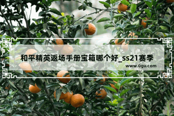 和平精英返场手册宝箱哪个好_ss21赛季手册皮肤需要买哪个手册