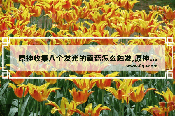 原神收集八个发光的蘑菇怎么触发,原神发光剧情攻略