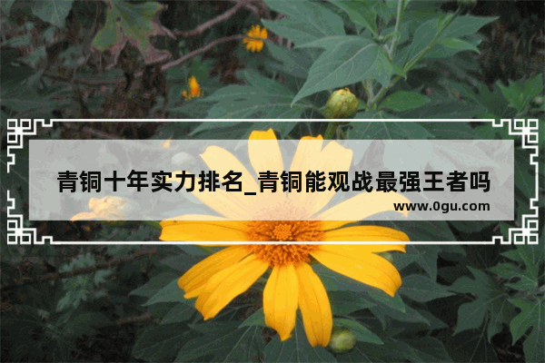 青铜十年实力排名_青铜能观战最强王者吗