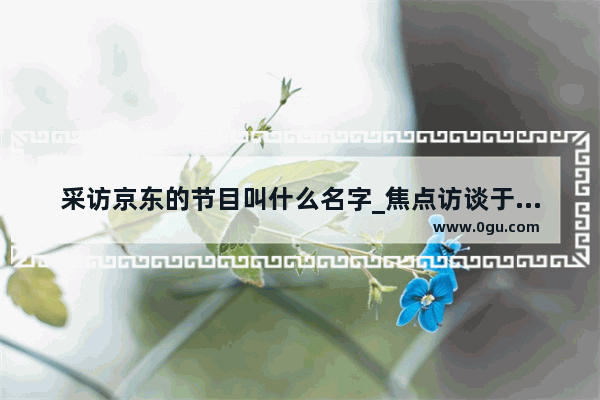 采访京东的节目叫什么名字_焦点访谈于文红是真实的吗