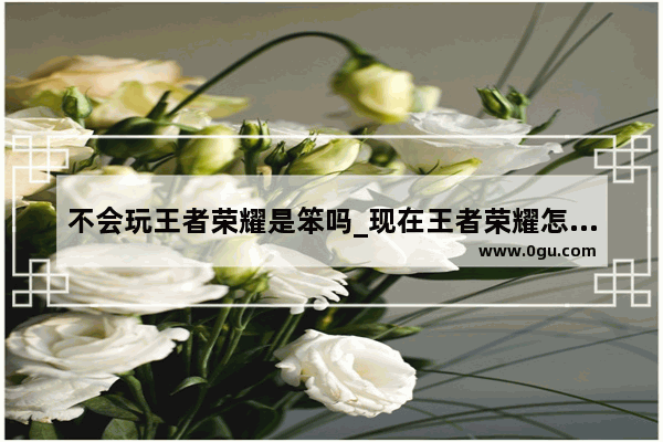 不会玩王者荣耀是笨吗_现在王者荣耀怎么辣么多笨人组队打排位？什么原因