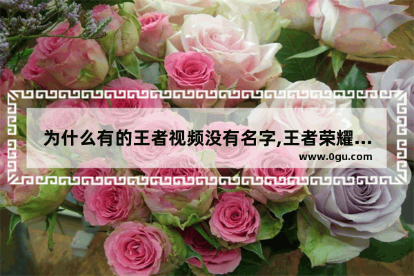 为什么有的王者视频没有名字,王者荣耀人肉