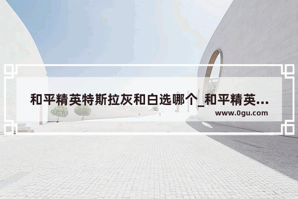 和平精英特斯拉灰和白选哪个_和平精英特斯拉尊享铂值得买吗