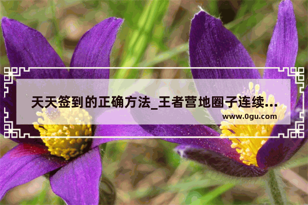 天天签到的正确方法_王者营地圈子连续签到怎么弄