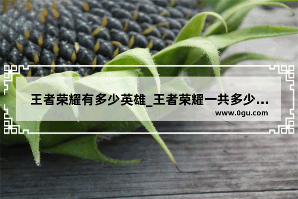 王者荣耀有多少英雄_王者荣耀一共多少英雄