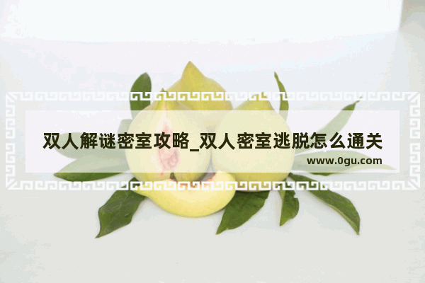 双人解谜密室攻略_双人密室逃脱怎么通关