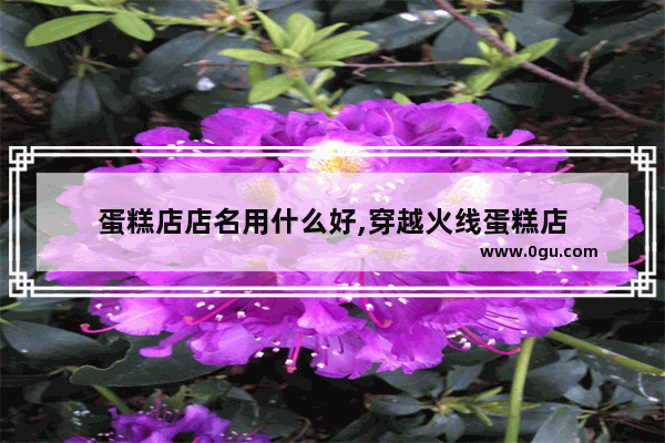 蛋糕店店名用什么好,穿越火线蛋糕店