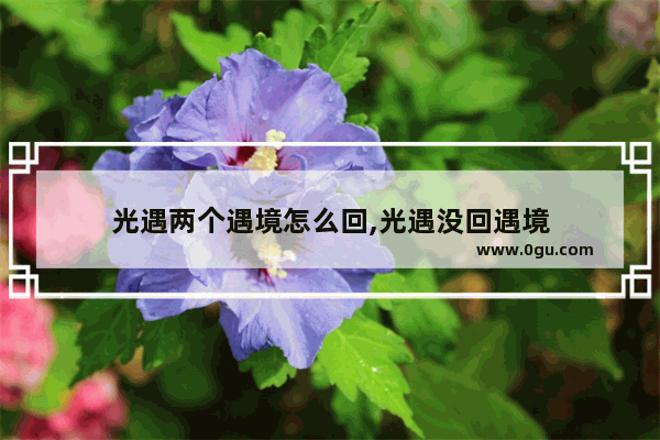 光遇两个遇境怎么回,光遇没回遇境