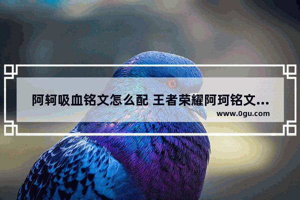 阿轲吸血铭文怎么配 王者荣耀阿珂铭文搭配