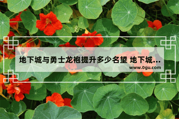 地下城与勇士龙袍提升多少名望 地下城与勇士龙袍出过几期
