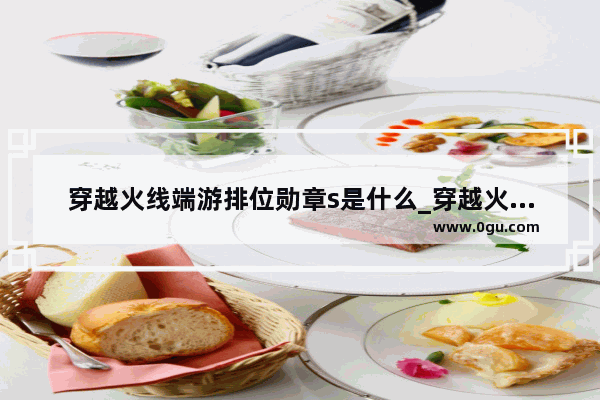 穿越火线端游排位勋章s是什么_穿越火线大黄蜂勋章有什么用