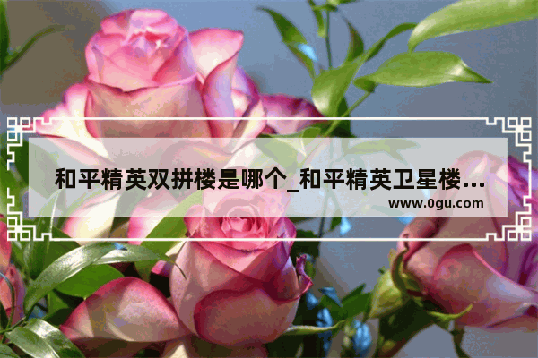 和平精英双拼楼是哪个_和平精英卫星楼在什么位置