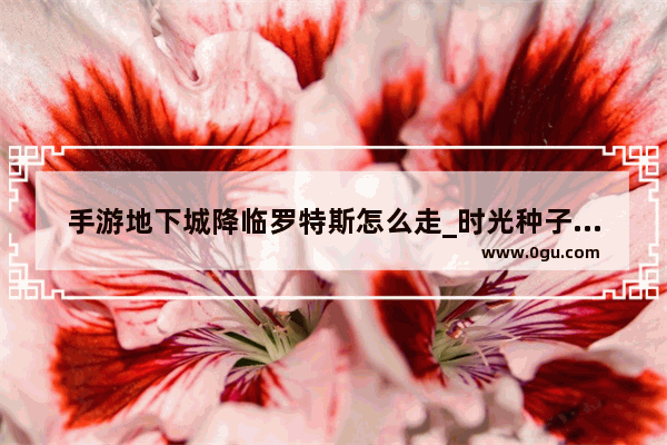 手游地下城降临罗特斯怎么走_时光种子任务有哪些