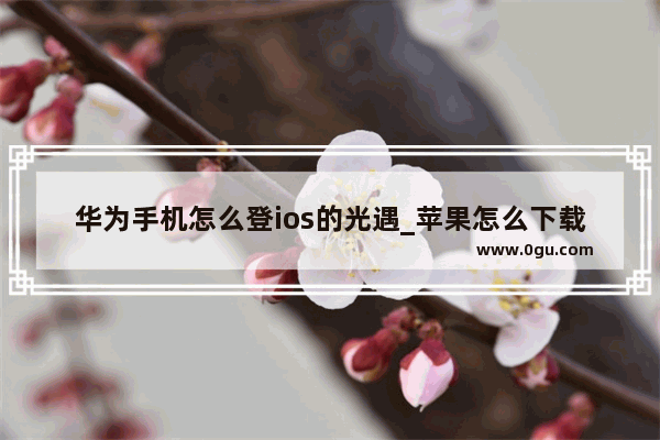 华为手机怎么登ios的光遇_苹果怎么下载华为渠道服光遇