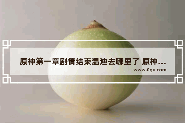 原神第一章剧情结束温迪去哪里了 原神奴役系统攻略