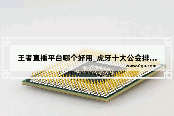 王者直播平台哪个好用_虎牙十大公会排名有哪些