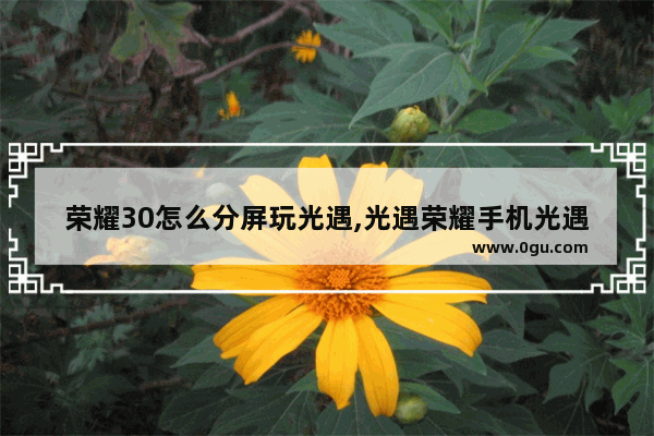 荣耀30怎么分屏玩光遇,光遇荣耀手机光遇怎么分屏