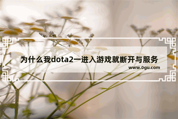 为什么我dota2一进入游戏就断开与服务器的连接啊,dota2与服务器断开连接