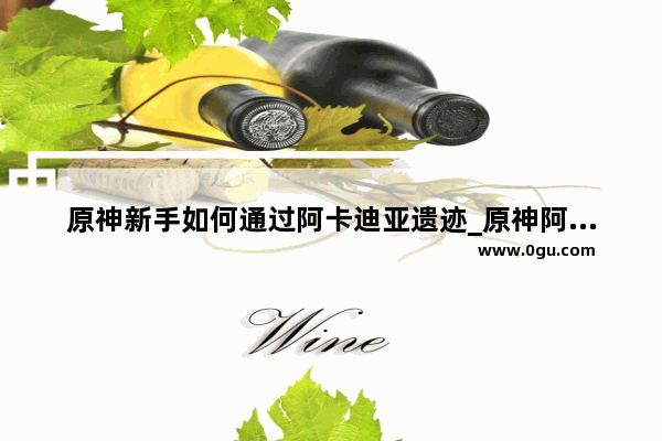 原神新手如何通过阿卡迪亚遗迹_原神阿卡迪亚遗迹怎么激活三个柱子