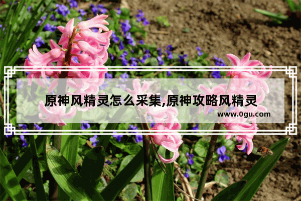 原神风精灵怎么采集,原神攻略风精灵