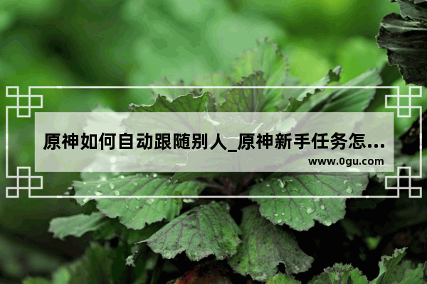 原神如何自动跟随别人_原神新手任务怎么跟着走