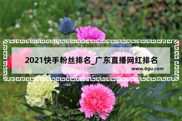 2021快手粉丝排名_广东直播网红排名