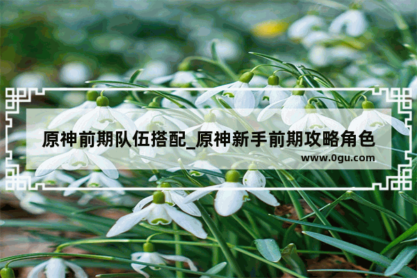 原神前期队伍搭配_原神新手前期攻略角色