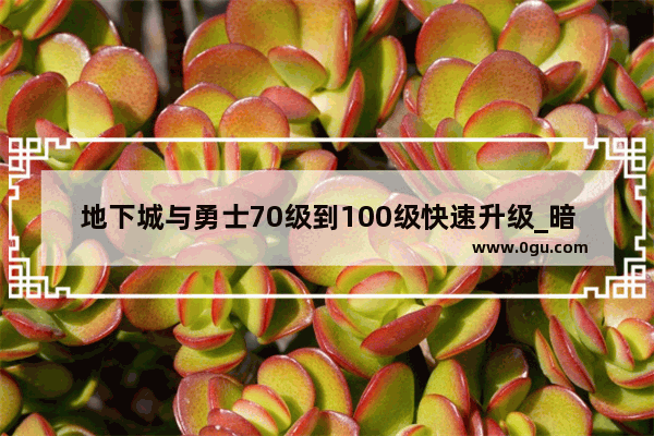 地下城与勇士70级到100级快速升级_暗黑3满级后去哪刷装备 暗黑3满级后怎么刷装备