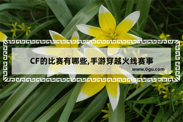 CF的比赛有哪些,手游穿越火线赛事