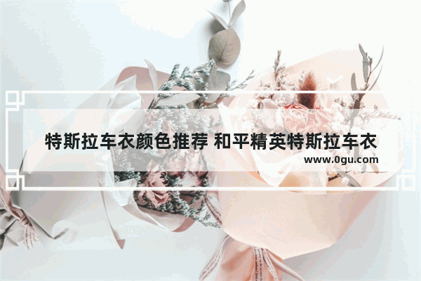 特斯拉车衣颜色推荐 和平精英特斯拉车衣