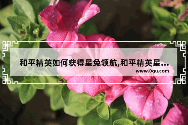 和平精英如何获得星兔领航,和平精英星之信仰皮肤