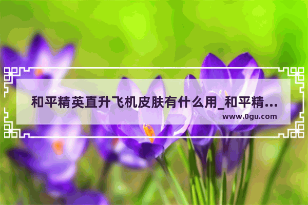 和平精英直升飞机皮肤有什么用_和平精英月亮飞行器返场吗