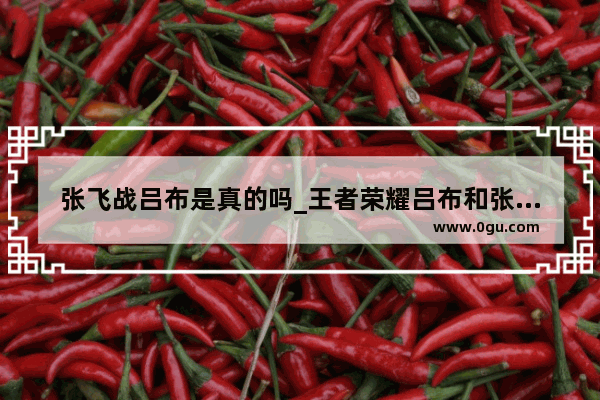 张飞战吕布是真的吗_王者荣耀吕布和张飞谁更厉害